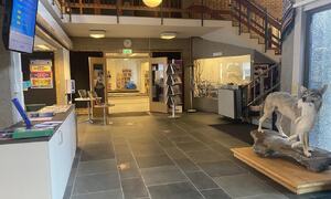 Bibliotek