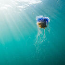 AdobeStock_580787047