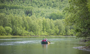 BARDU_SUMMER_NLE_406
