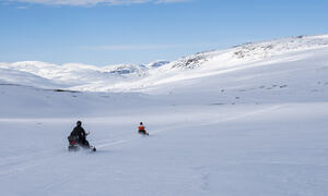 BARDU_WINTER_NLE_480