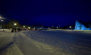 Julegrantenning2