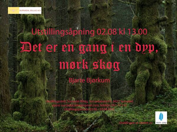 Plakaten til Bjarte Bjørkums utstilling 