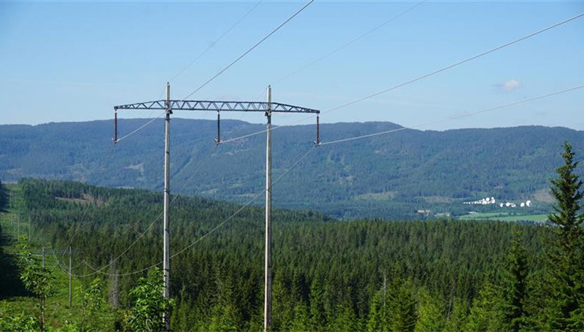 Norgespris er nå klaget inn for ESA av 26 aktører. FOTO: Statnett.