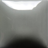 gfn-24-600x600