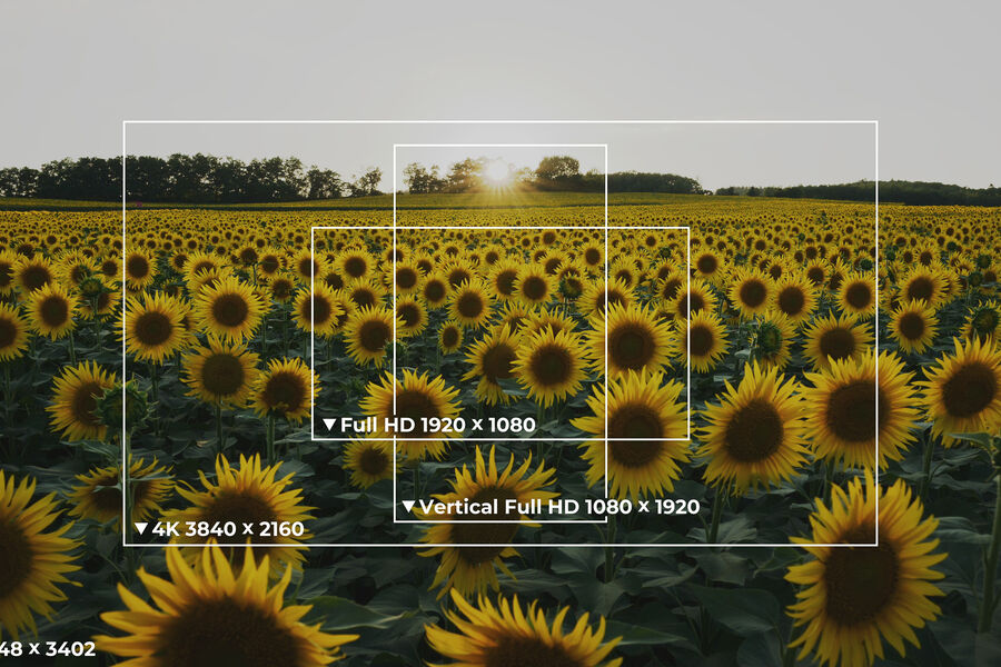 USDD_6K_4K_FullHD_verticalFullHD_crop_range__ __Nikon Z R CInema