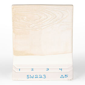 sw223_cone5_1-2-3-4-coats_crop_cone 5