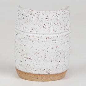 sw-501_brown_speckled_web_cone 6