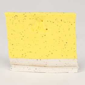 sw-502_white_speckled_web_cone 6