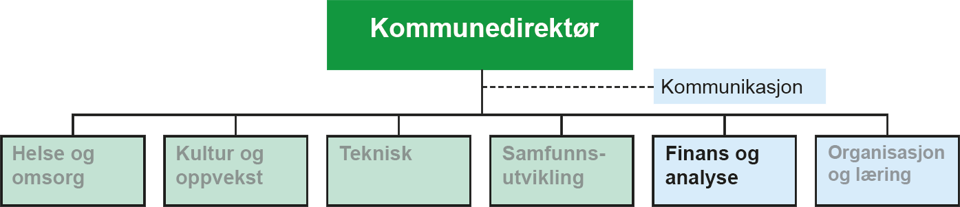 Organisasjonskart for finans og analyse