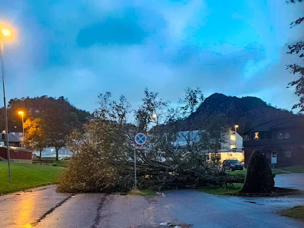 tre som har veltet på Lagård