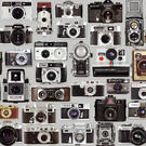 (FOto: BOOCYS - stock.adobe.com) (FOto: BOOCYS - stock.adobe.com)