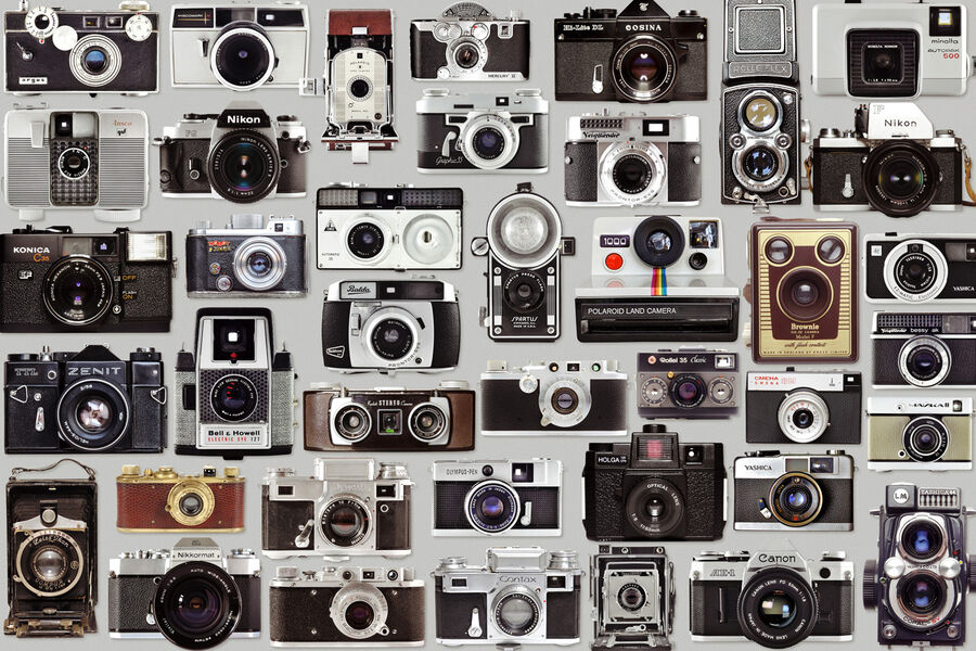 (FOto: BOOCYS - stock.adobe.com)