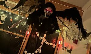 Halloween Vasshaug 5