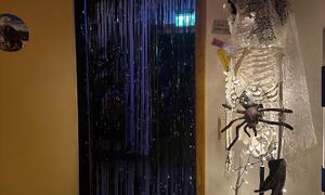 Halloween Vasshaug 6