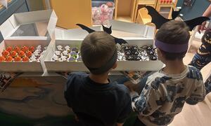 Halloween Vasshaug 9