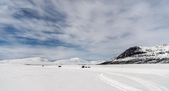 BARDU_WINTER_NLE_431