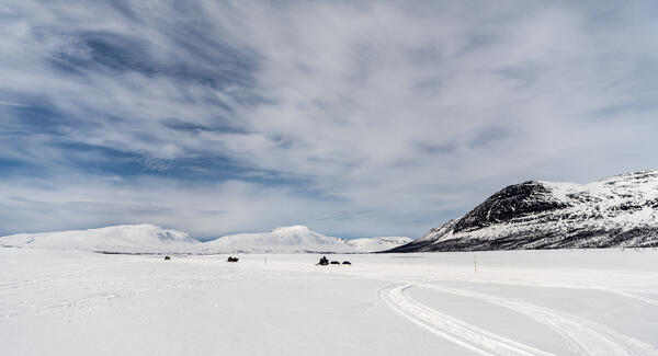 BARDU_WINTER_NLE_431