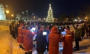 ulegran og korpsnisser 3 toralf