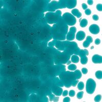 001176-0003-F_01[1]