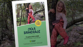 Årsplan for Grøne Bråden barnehage