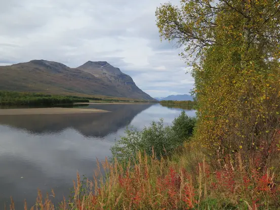 Det er meldt om bekymring for vannkvaliteten i Målselva. Nå skal overvåkning i gang. Foto: Liv Mølster/Fylkesmannen i Troms