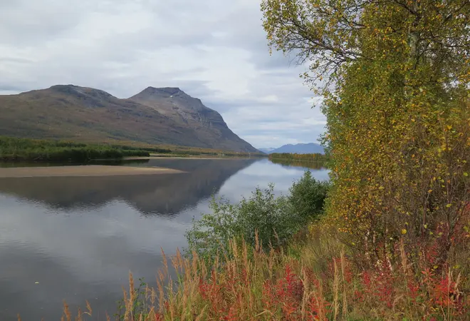 Det er meldt om bekymring for vannkvaliteten i Målselva. Nå skal overvåkning i gang. Foto: Liv Mølster/Fylkesmannen i Troms Det er meldt om bekymring for vannkvaliteten i Målselva. Nå skal overvåkning i gang. Foto: Liv Mølster/Fylkesmannen i Troms