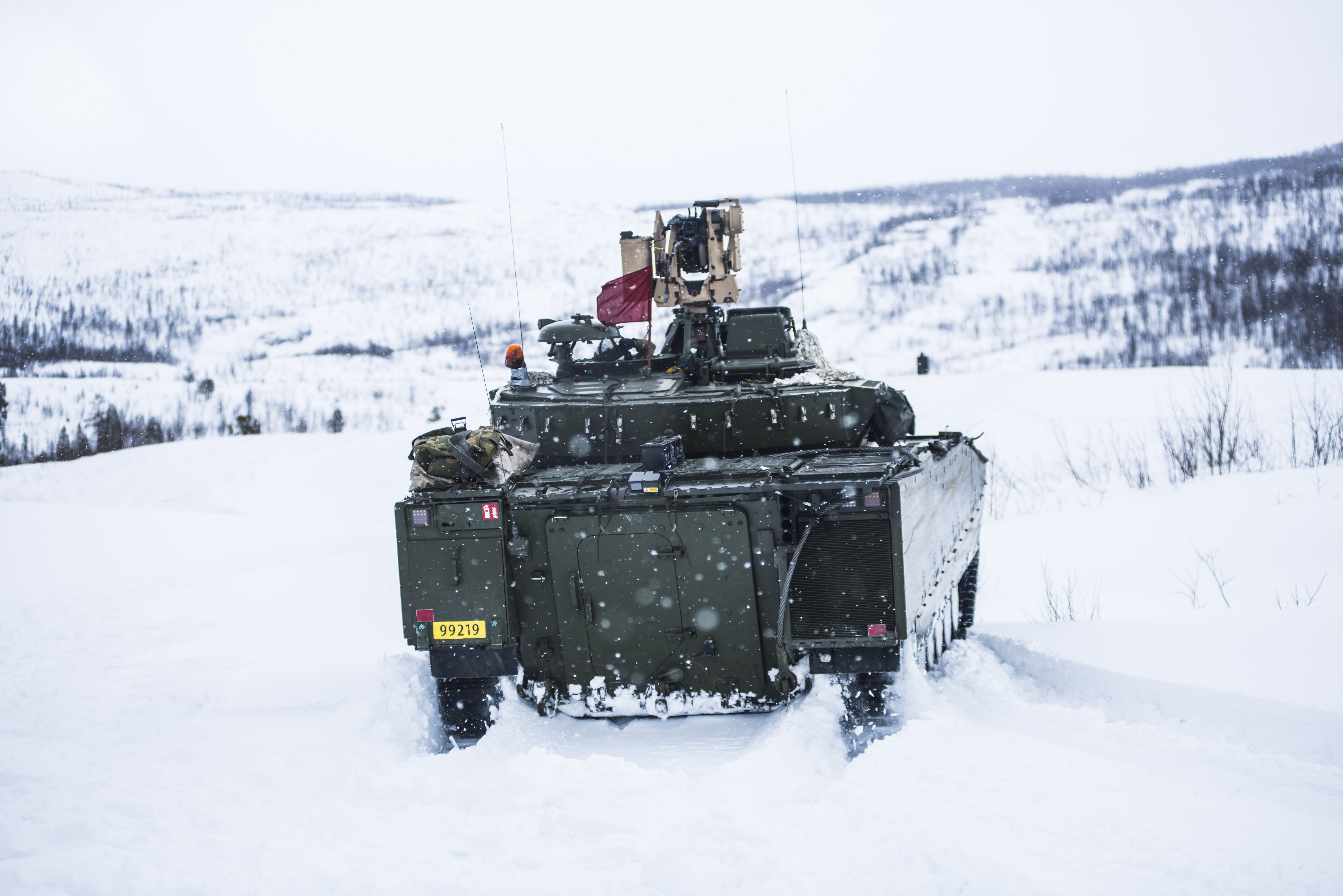 BARDU WINTER NLE  372