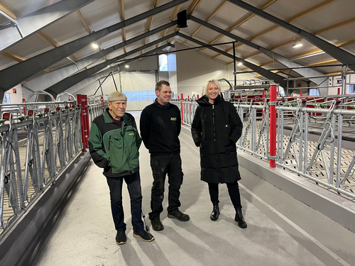 Bilde åpning løsdriftfjøs