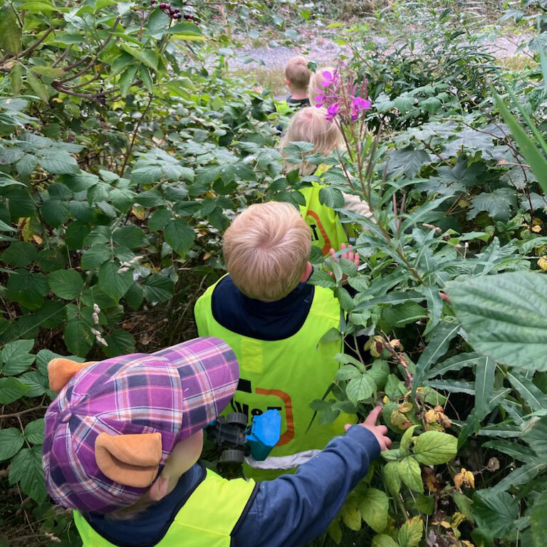 Oppdagelsesferd i naturen
