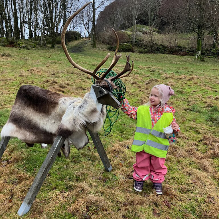 Med en figur av et reinsdyr