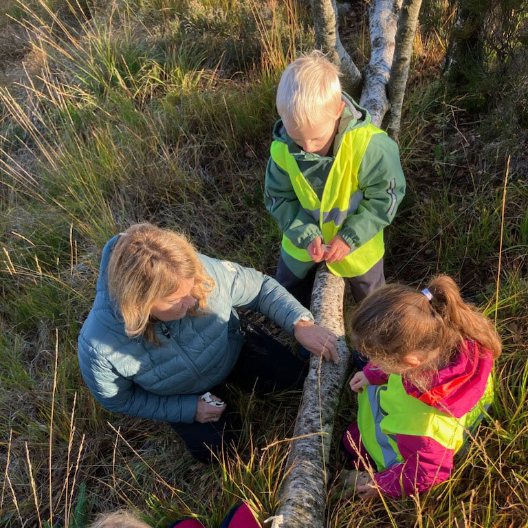 Et tre som må utforskes