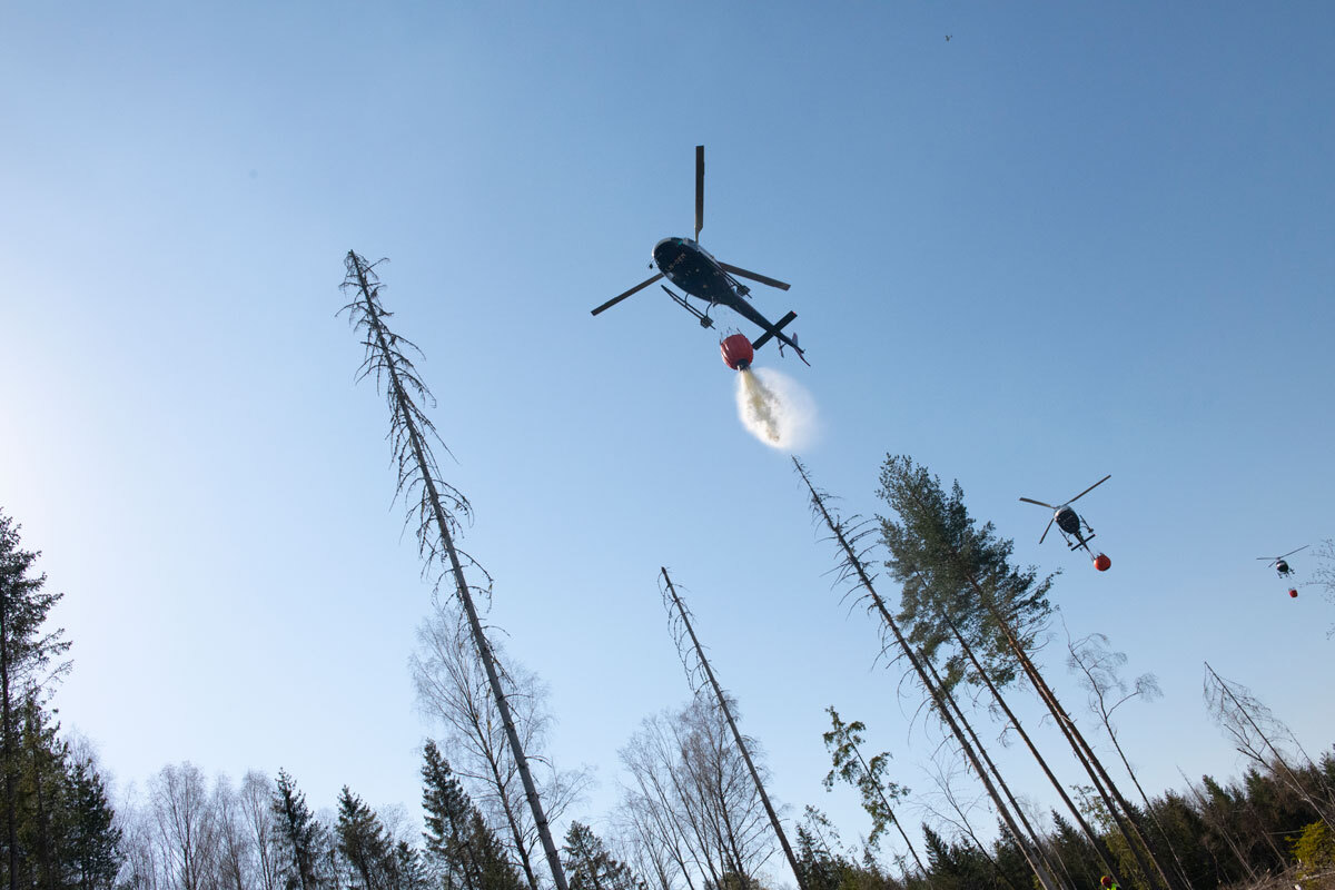 Brannslukking i skog