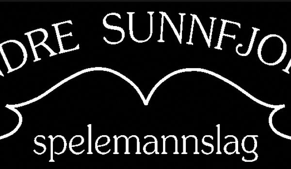 ISS logo kvit på svart