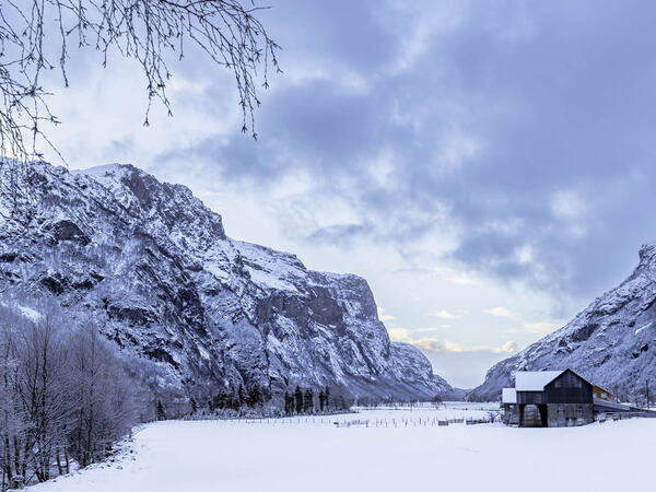 Bondegård om vinteren