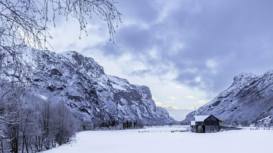 Bondegård om vinteren
