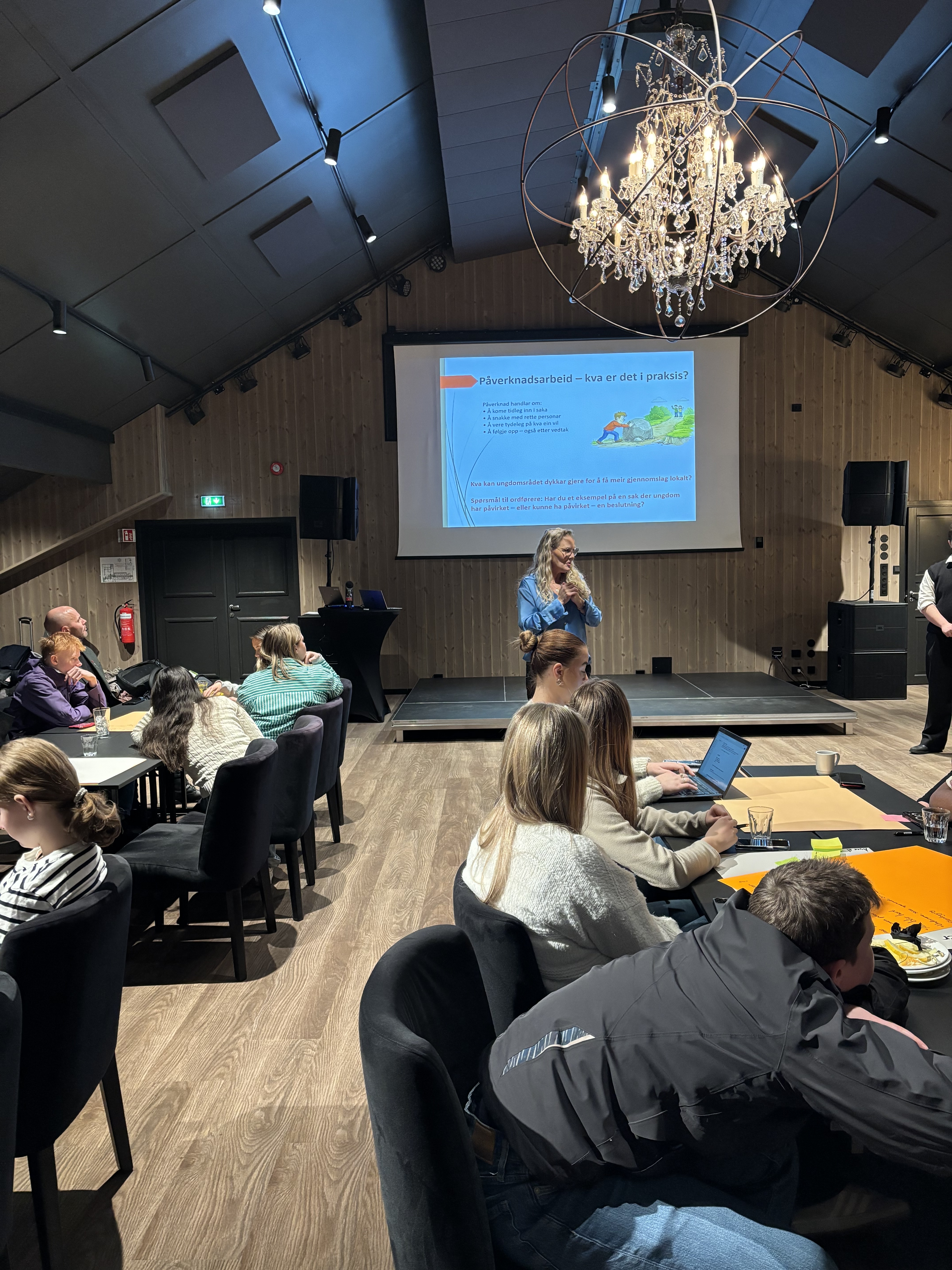 Gro Anita Påvirkningsarbeid.jpg
