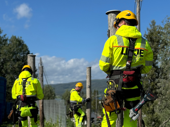 Illustrasjonsbilde Linjeproff.no