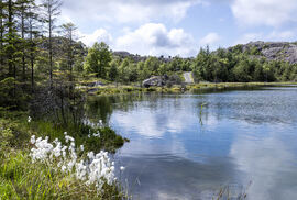 20250615-_MGL3229-Edit[1]