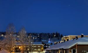Barduheiimen og hjertehagen vinter