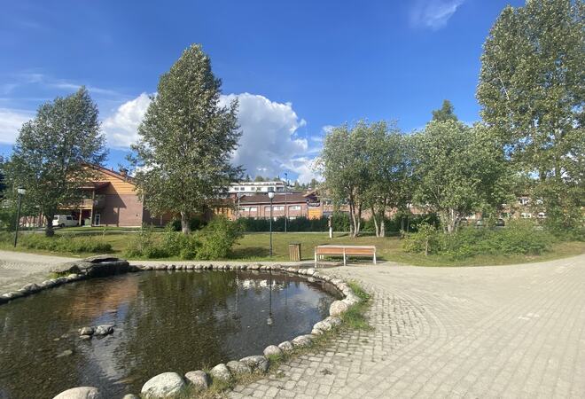 Barduheimen_aug 23_1