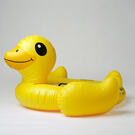 Copyright: © Vilma Taubo, Norway, Finalist, Professional Competition, Still Life, Sony World Photography Awards 2026