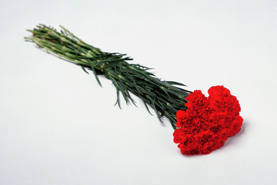 3985_11165_VilmaTaubo_Norway_Professional_StillLife_2026