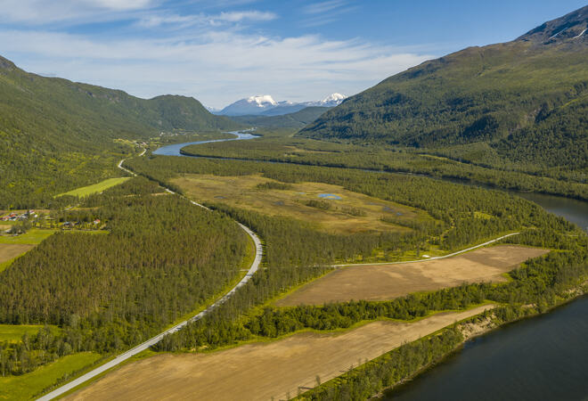 BARDU_SUMMER_NLE_015