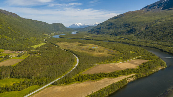 BARDU_SUMMER_NLE_015