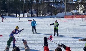 Saft løper og flagg