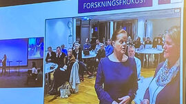Et skjermbilde fra programmet Treams