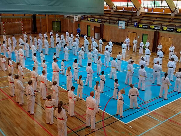 Karatetrening i Egersundshallen