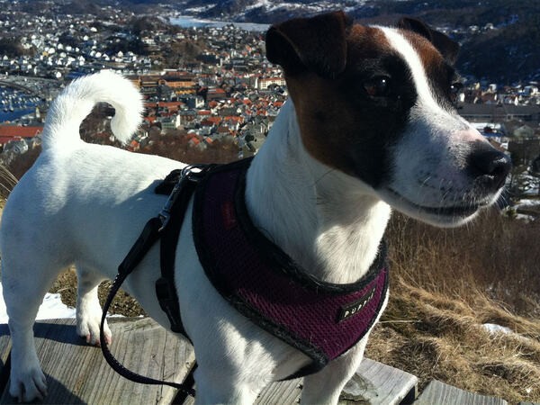 Pricille på Varberg