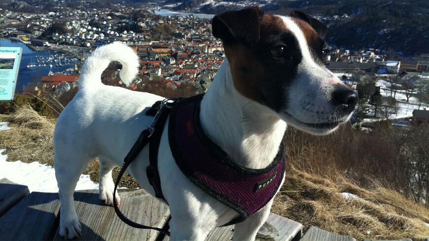 Pricille på Varberg