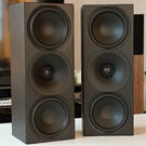 Arendal 1961 Monitor og Subwoofer 1S